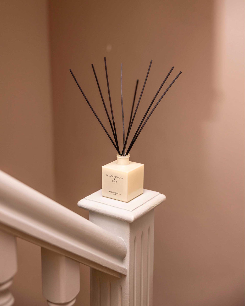 Cereria Mollá 1899 – Black Orchid & Lily – Diffusore Mikado