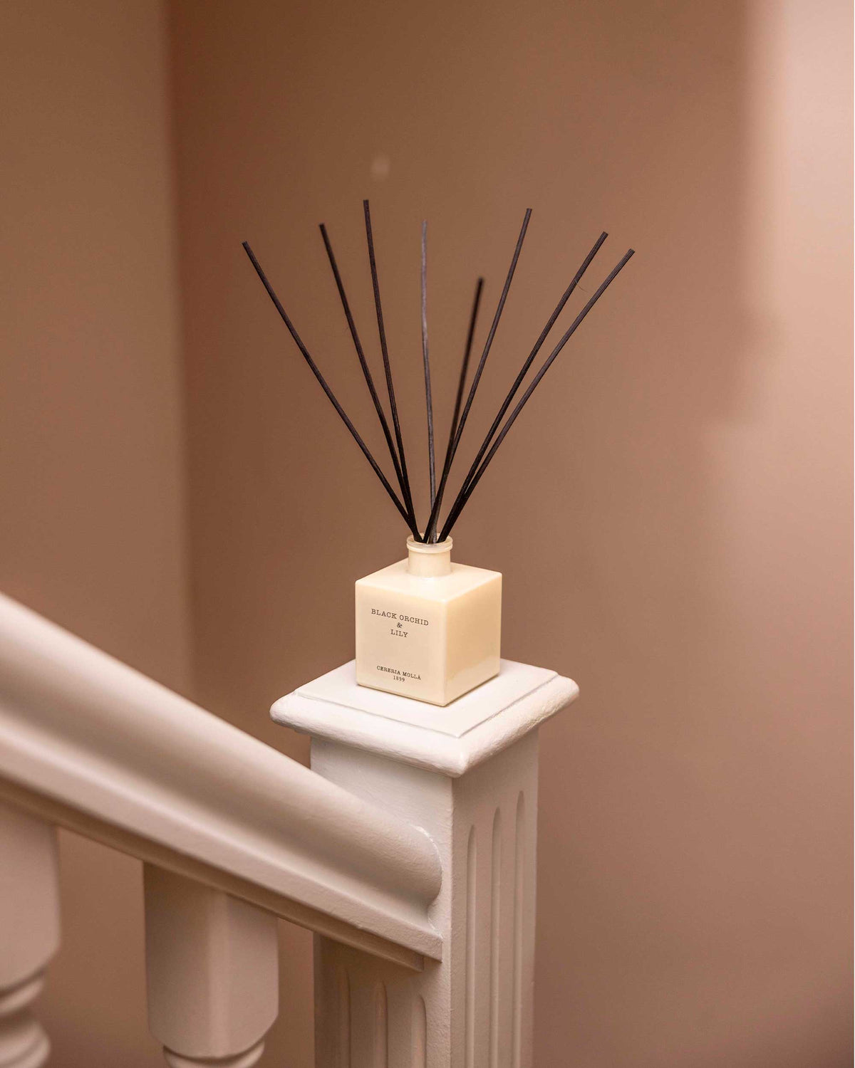 Cereria Mollá 1899 – Black Orchid & Lily – Diffusore Mikado